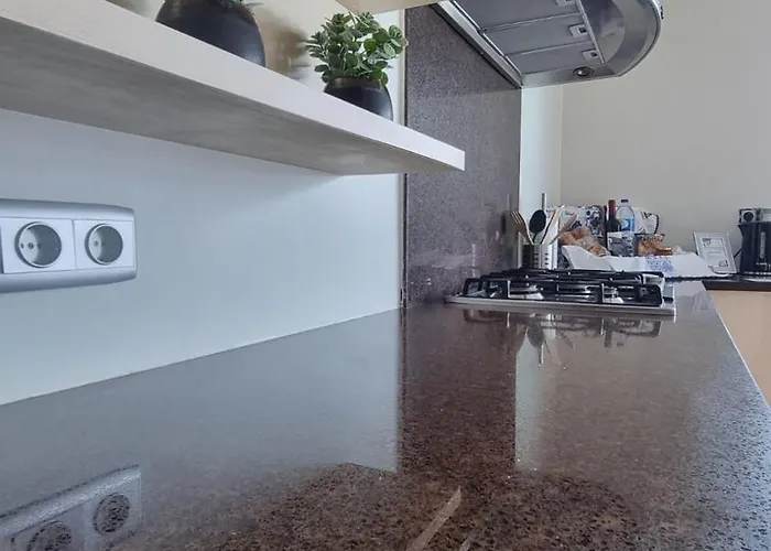 House Holiday home *